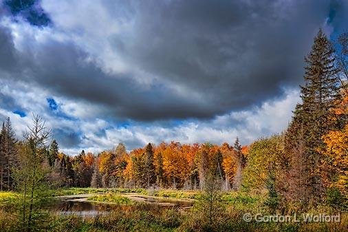 Autumn Marsh_23412.jpg - Photographed near Almonte, Ontario, Canada.